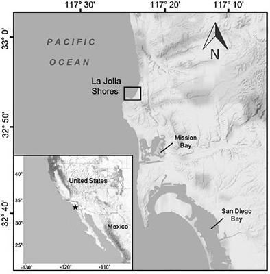 Citizen-Sourced Sightings and Underwater Photography Reveal Novel Insights About Green Sea Turtle Distribution and Ecology in Southern California